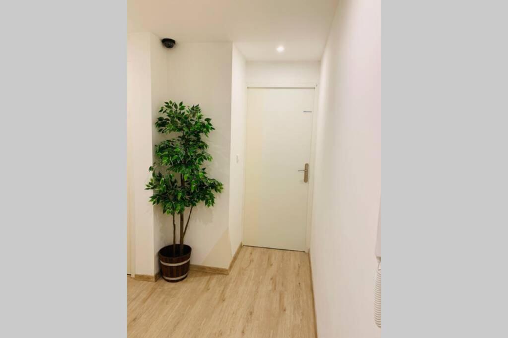 Provence Appartement Маноск Екстериор снимка
